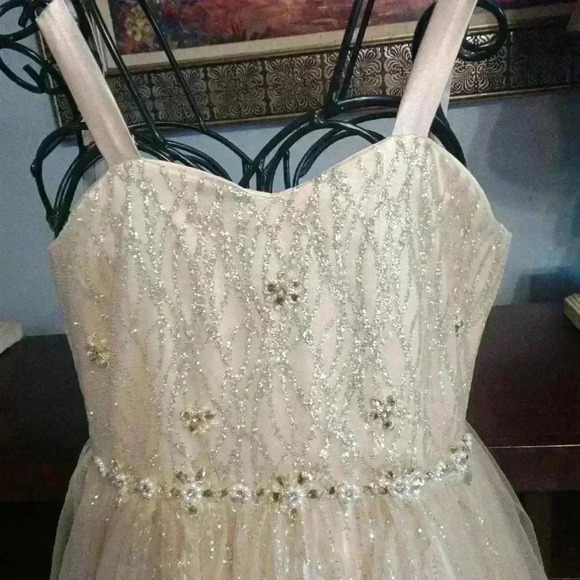 Petite Adele Sequined Formal  Dress Gown Size 10 - Picture 4 of 15